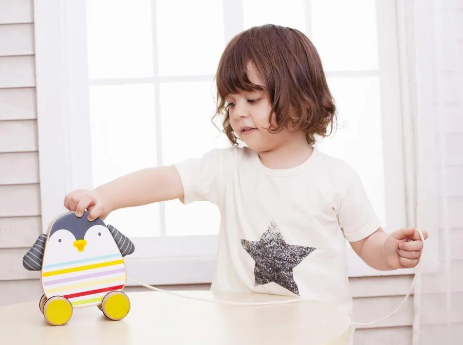 Child Wooden Pull Toy Penguin