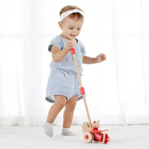 Wooden push toy - bear with airplane