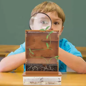 Children's educational game "My First Greenhouse"
