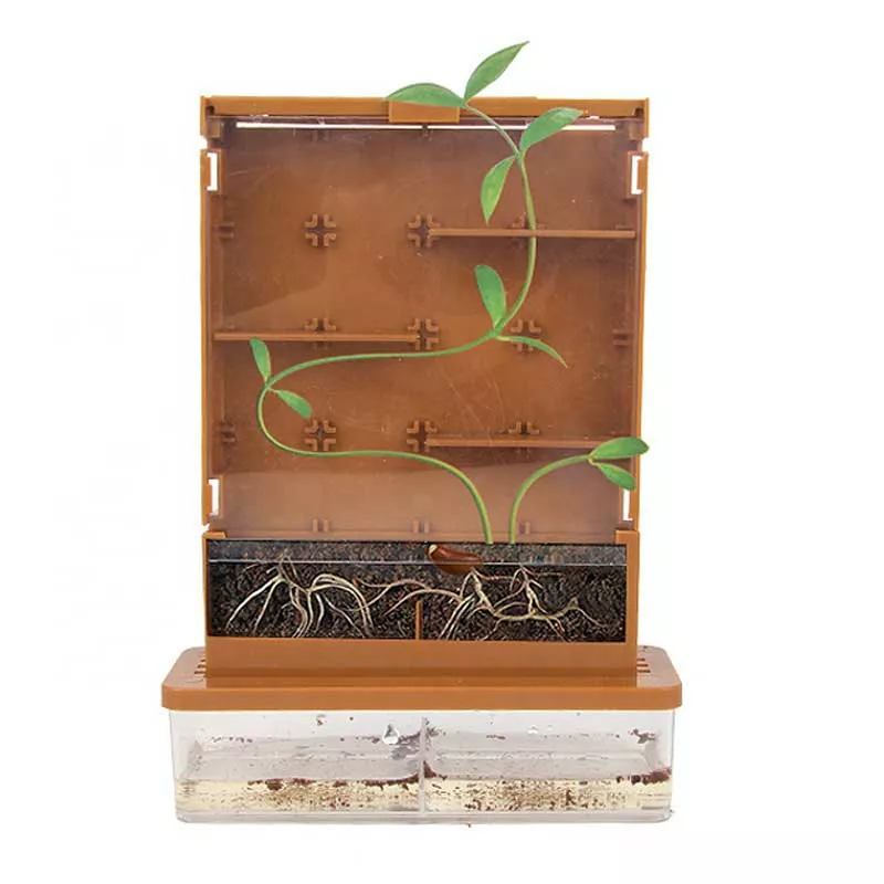 Children's educational game "My First Greenhouse"