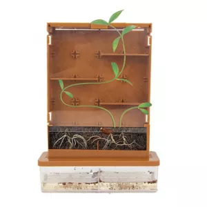 Children's educational game "My First Greenhouse"