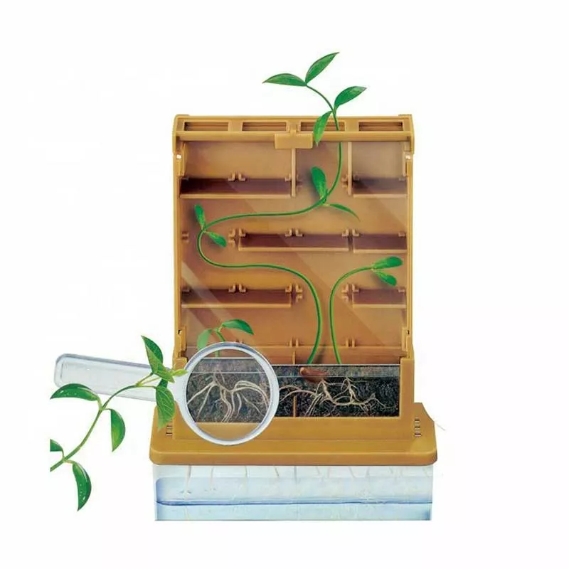 Children's educational game "My First Greenhouse"