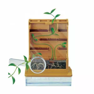 Children's educational game "My First Greenhouse"