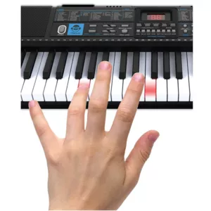 Piano with illuminating teaching keys - 5 octaves G-500