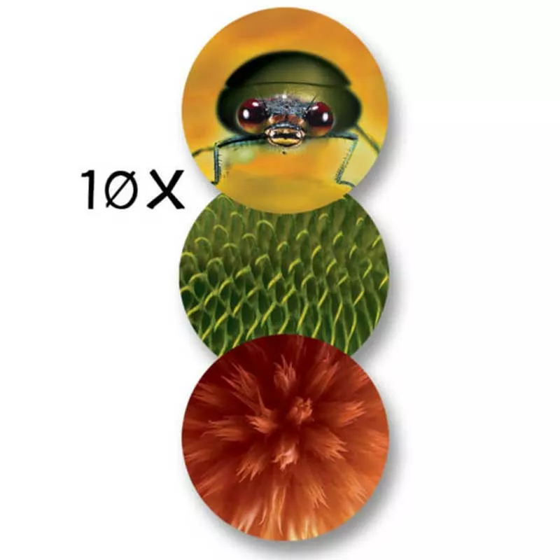 Children's microscope for observing the environment, NAVIR