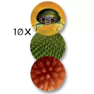 Children's microscope for observing the environment, NAVIR