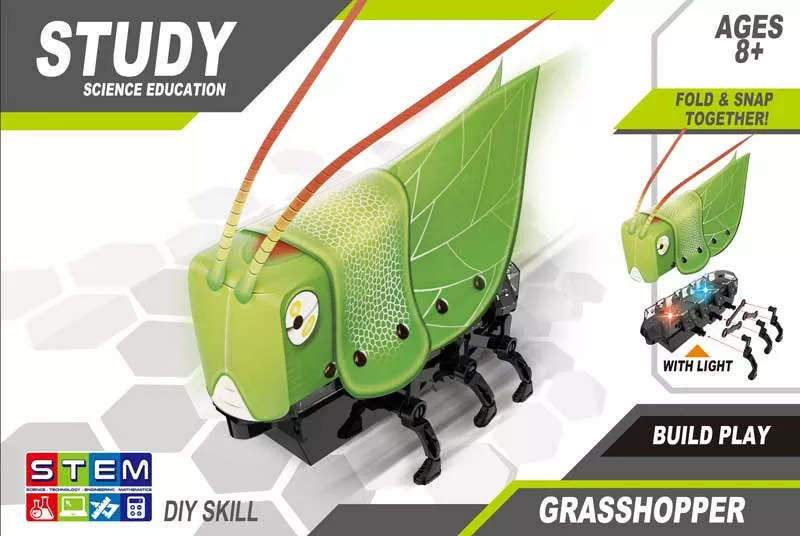 Child STEM robot - Assemble your own owl