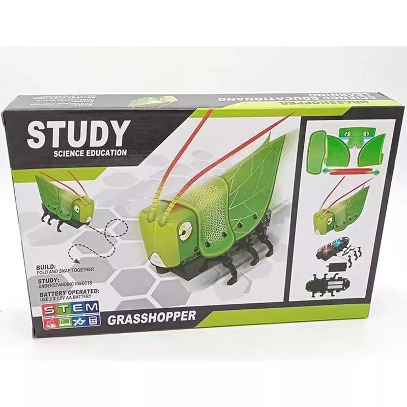 Child STEM robot - Assemble your own owl