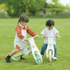 Children's wooden balance bike Rainbow