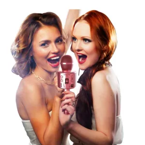 Children's karaoke microphone - rose gold