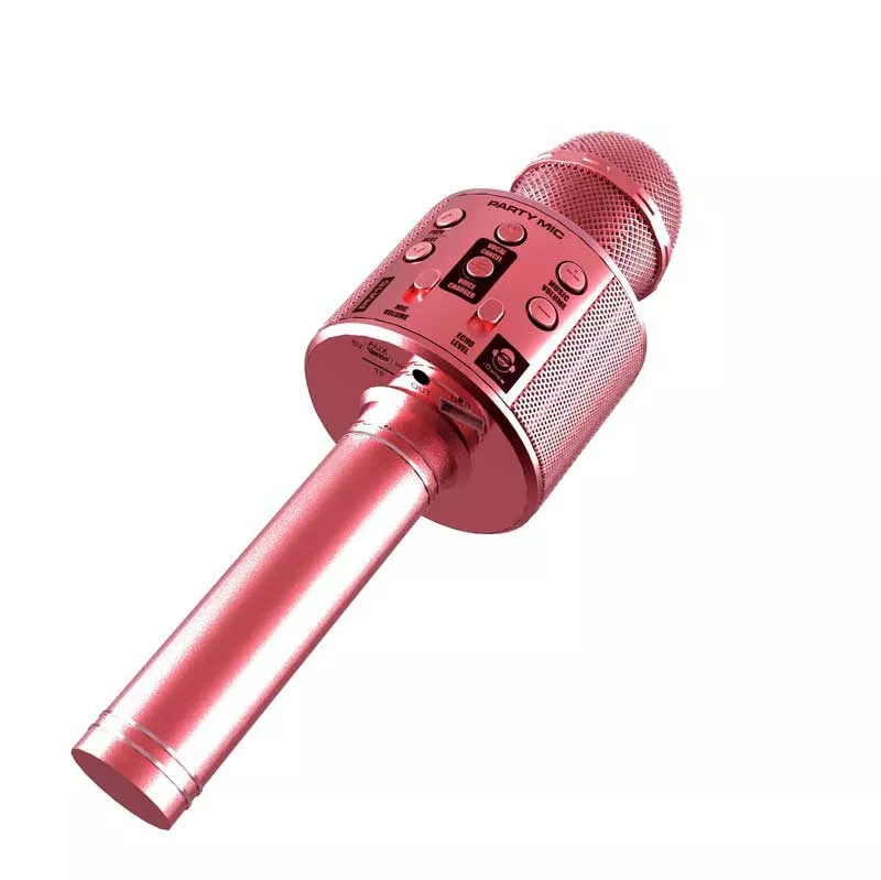 Children's karaoke microphone - rose gold