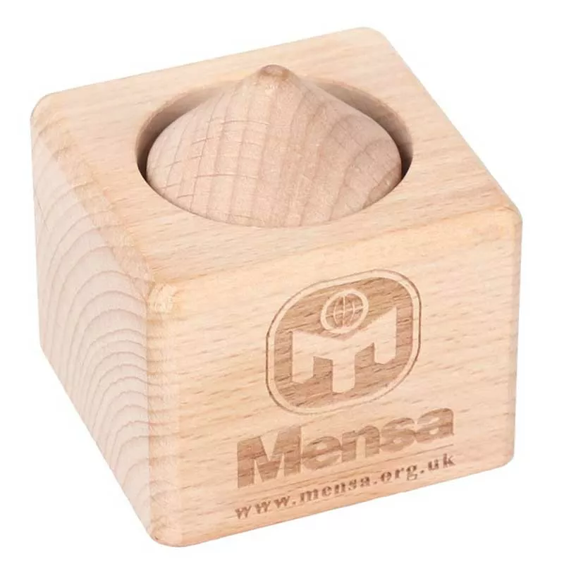 IQ children's wooden puzzle from the "Mensa" series