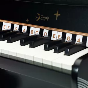 Classic children's piano Fantasy in black color
