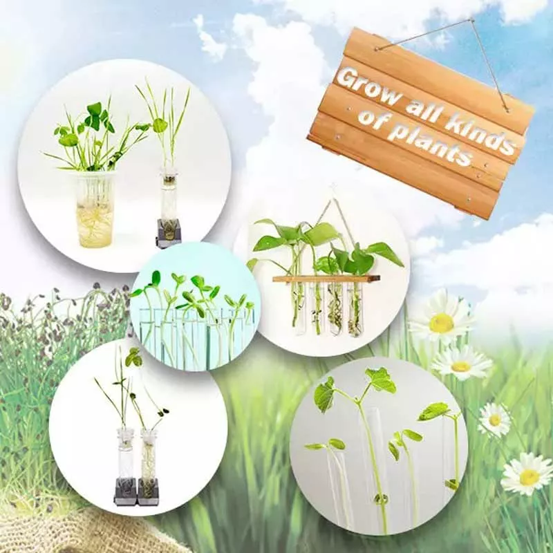 A set for children for growing plants