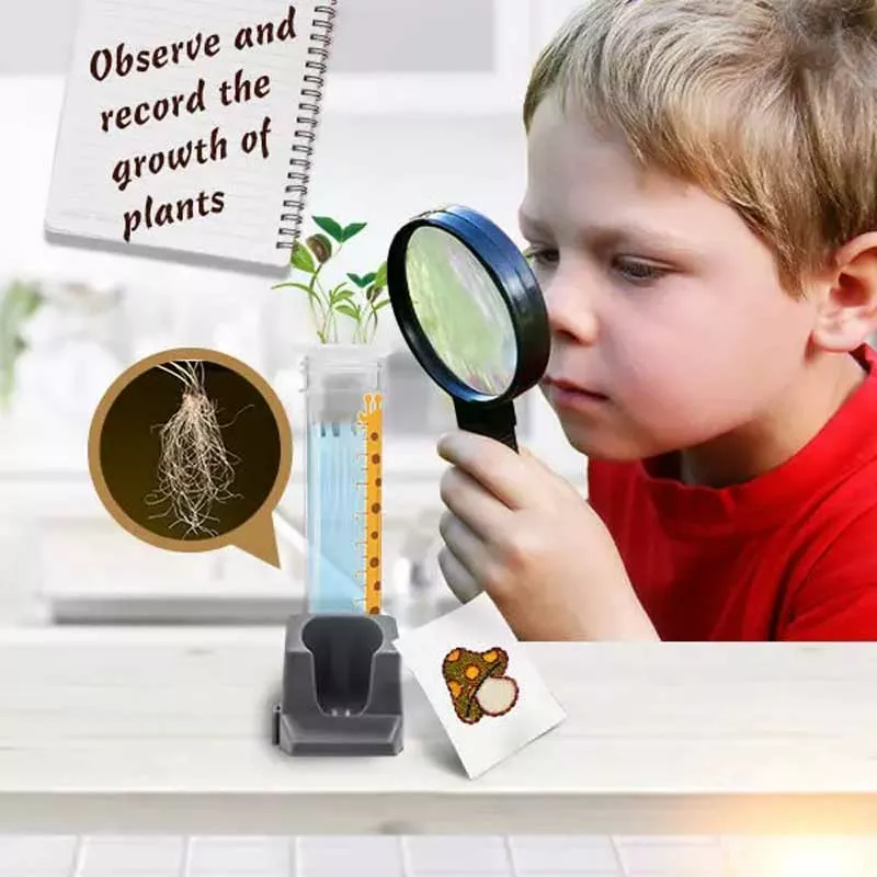 A set for children for growing plants