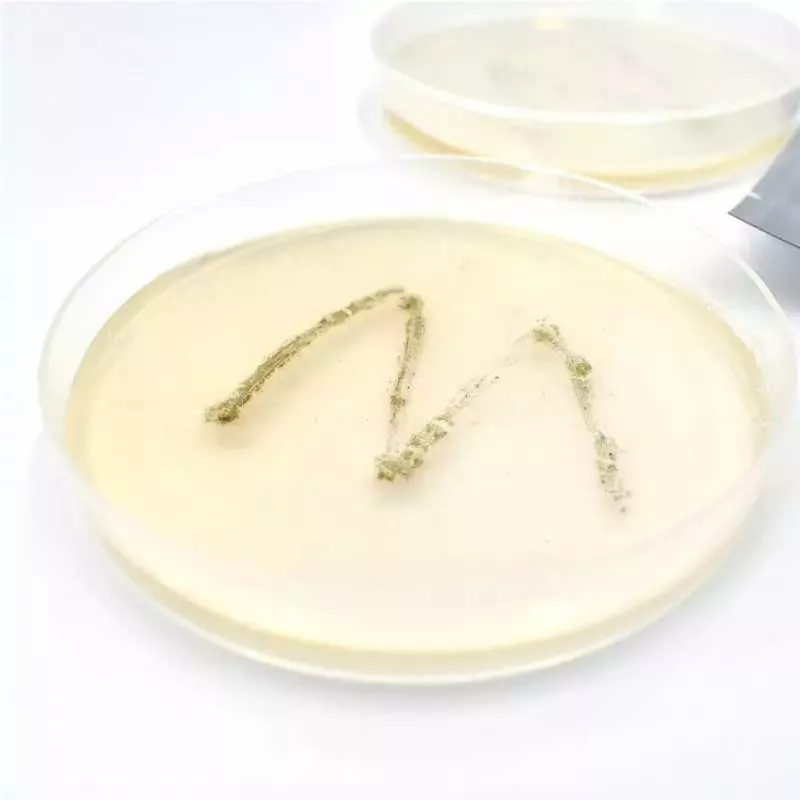 STEAM set - I am a detective