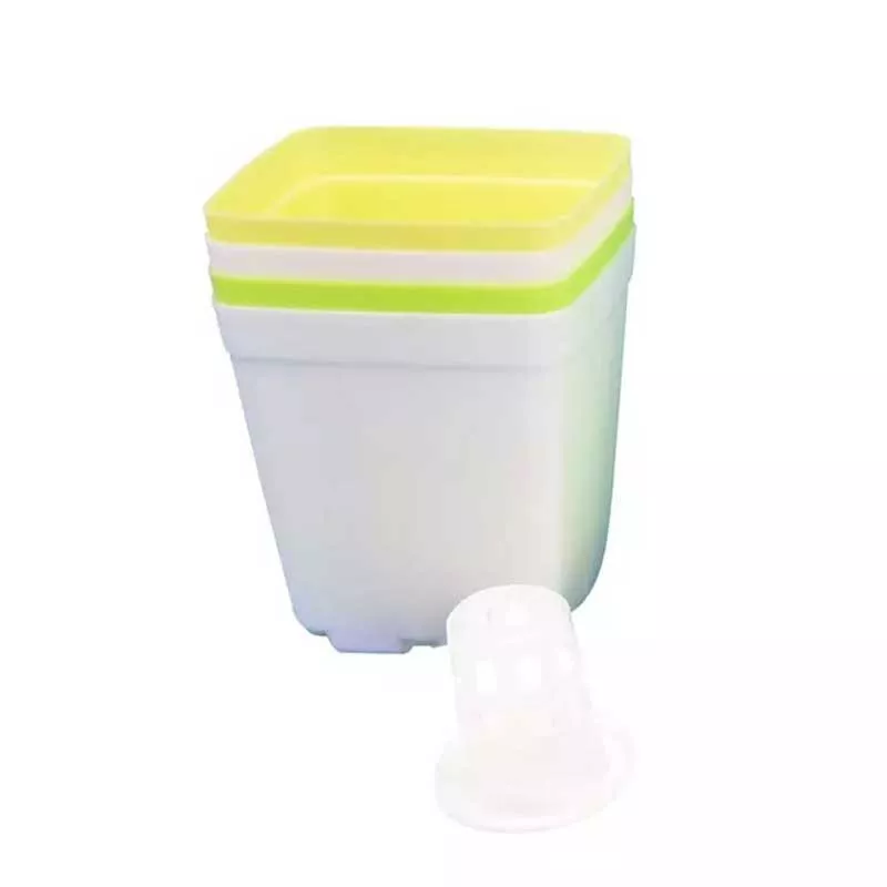 STEAM set - Wonderful plants