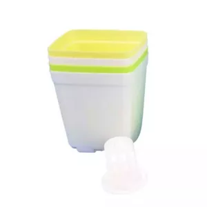 STEAM set - Wonderful plants