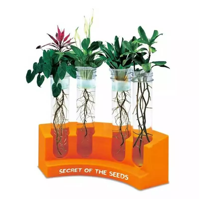 STEAM set - Wonderful plants