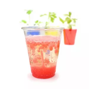 STEAM laboratory - Crazy Magic in the Kitchen