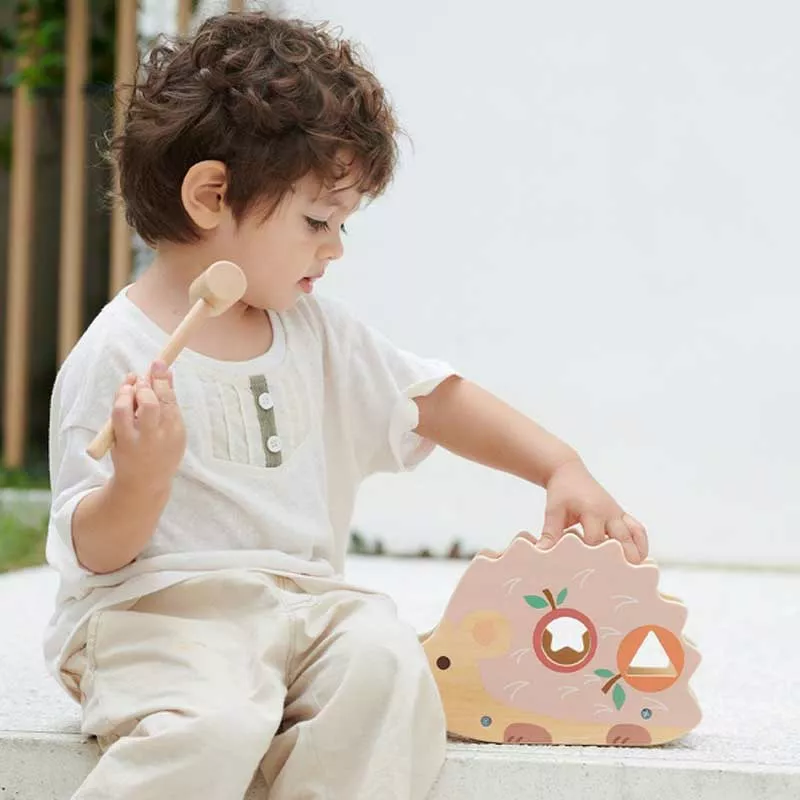Funny wooden hedgehog - sorter with xylophone in pastel colors