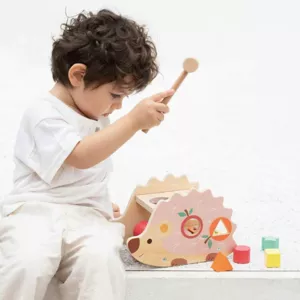 Funny wooden hedgehog - sorter with xylophone in pastel colors