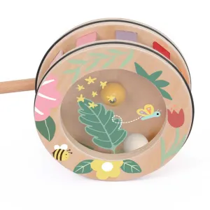 Wooden push toy Rainbow Classic World