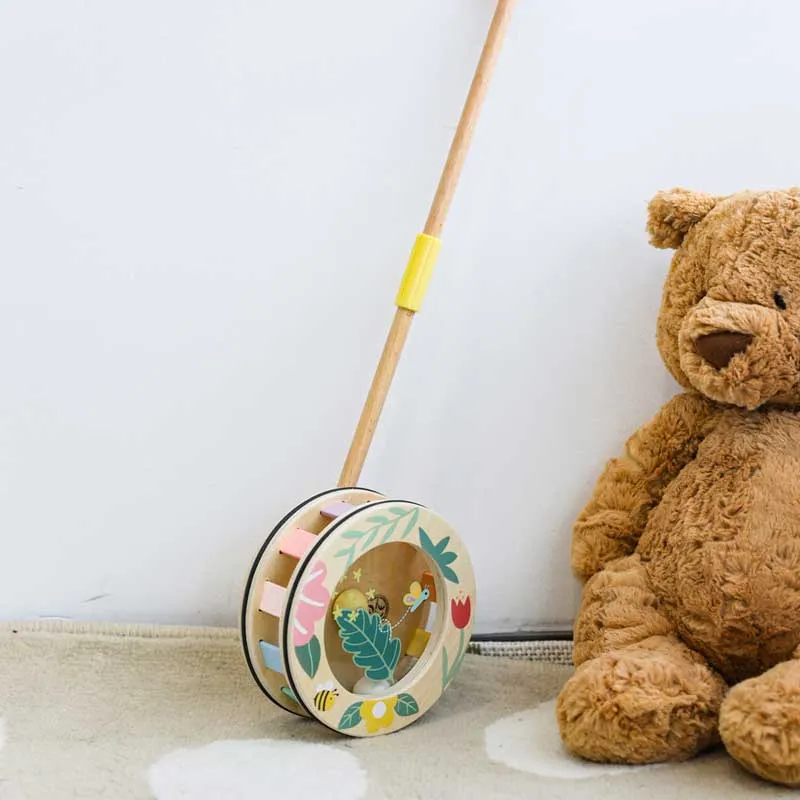 Wooden push toy Rainbow Classic World
